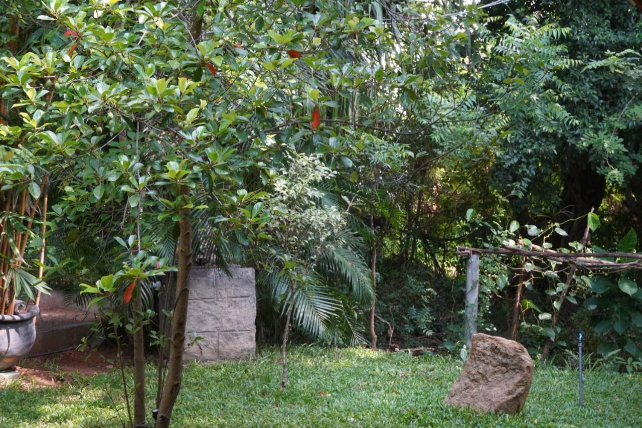 Sandra Guesthouse Dambulla Exterior photo